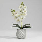 Vaso Flores Artificiais Vaso Arranjo Orquideas Decorativas