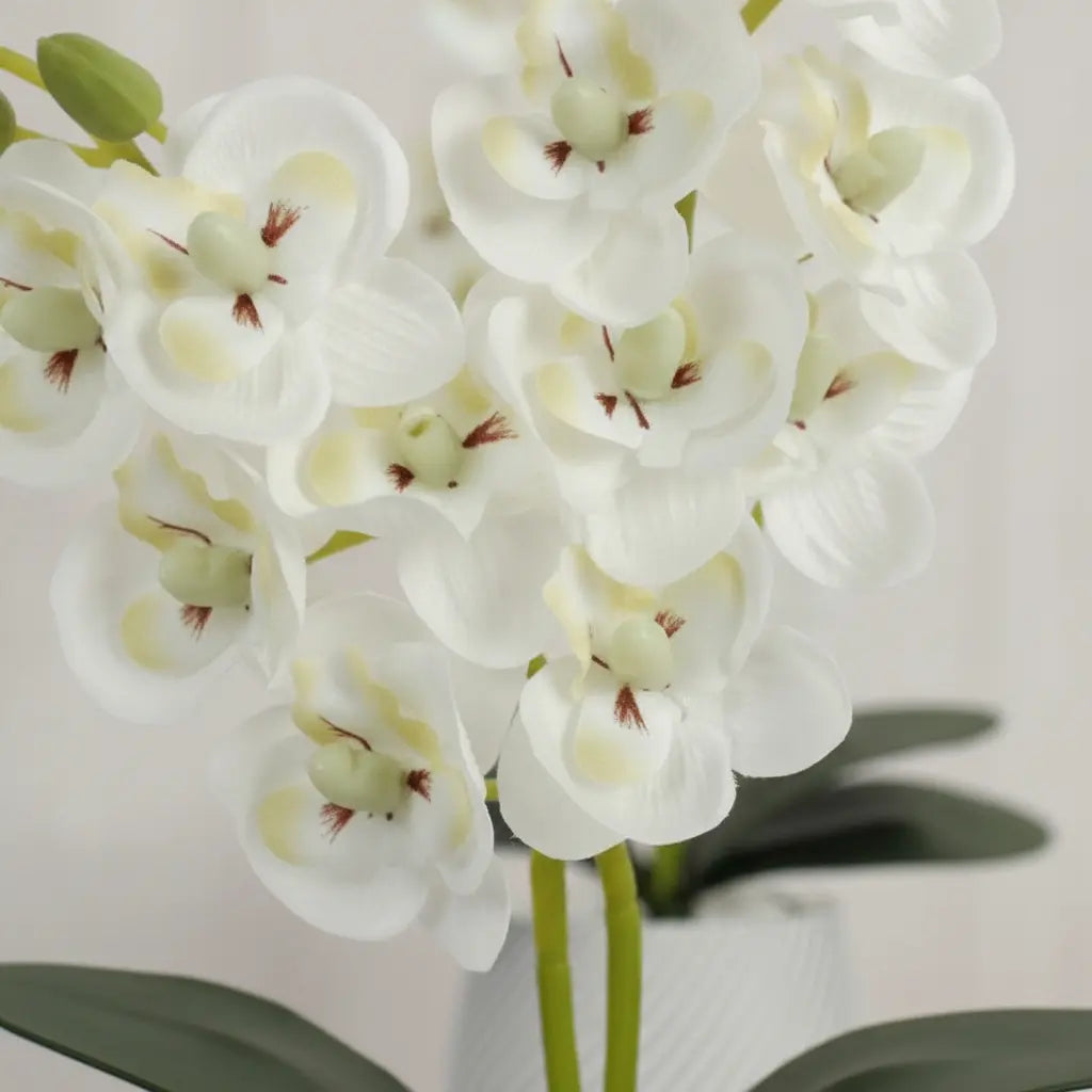 Vaso Flores Artificiais Vaso Arranjo Orquideas Decorativas
