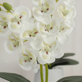 Vaso Flores Artificiais Vaso Arranjo Orquideas Decorativas